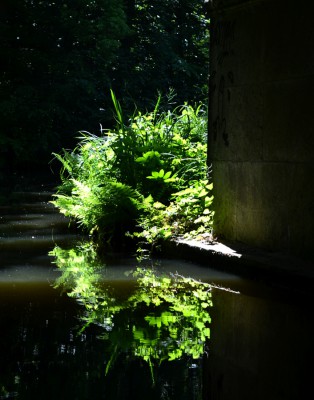 DSC_3582a.JPG