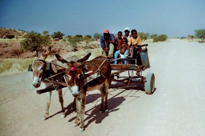 Eselskarren in Namibia.jpg