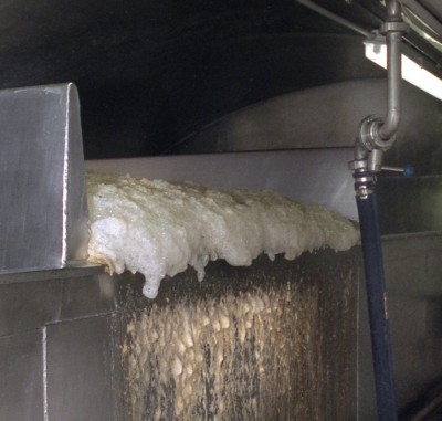Gährung_Brauerei_Gleumes.jpg