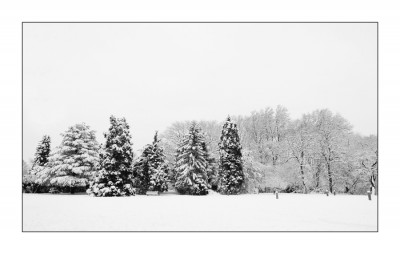 Winter.jpg