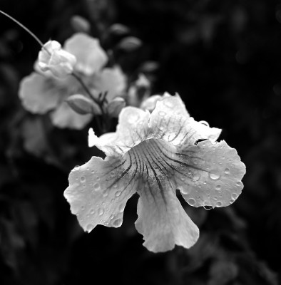 DSC05425.jpg