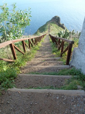 Madeira (1).JPG