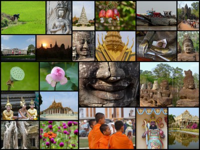 Collage.jpg