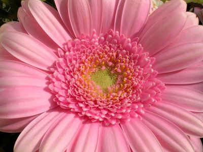 DSCN4216.JPG