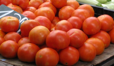 Tomaten.JPG
