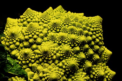 Robert_Waleczek_Romanesco.jpg