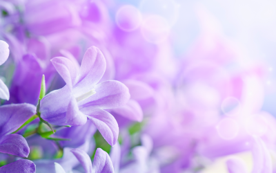 6a4d90d9ea764ce061241cbc32f5.png