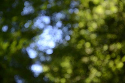 DSC_2569kl.jpg