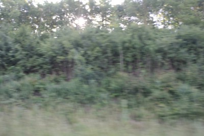 Autobahnböschung.JPG