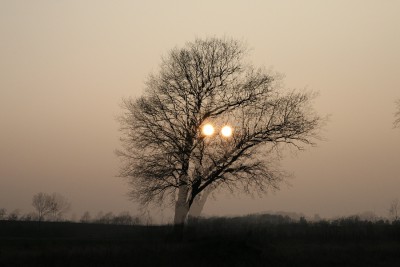 IMG_2907.jpg