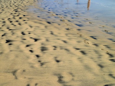 Sandstrand.JPG