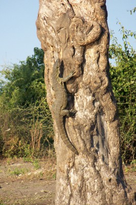 100_7756.jpg