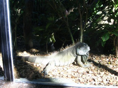IMG_1623.JPG