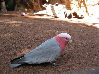IMG_0060.JPG