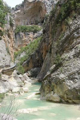 DSC02725_F_1.jpg
