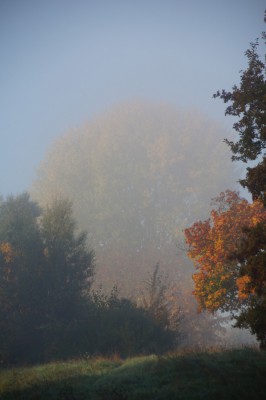 DSC03530_sjpg.jpg