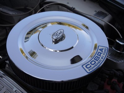 2013-09-07_Cobra3.JPG