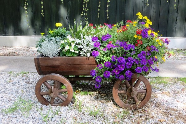 IMG_3209blumen.jpg