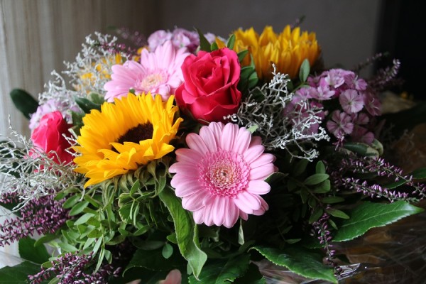 IMG_2285-k.jpg