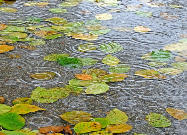 DSCF2288 2.jpg