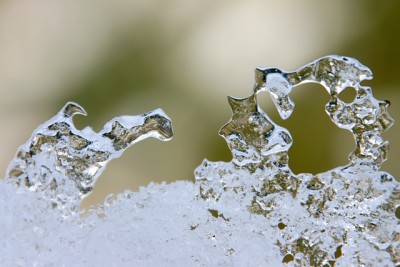 Eis-Tier-Skulptur.jpg