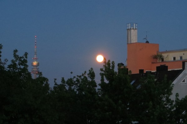 IMG_9080 mond.jpg