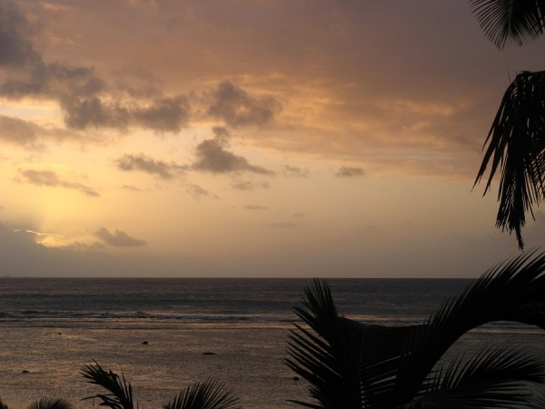 IMG_1257.jpg900x675.jpg