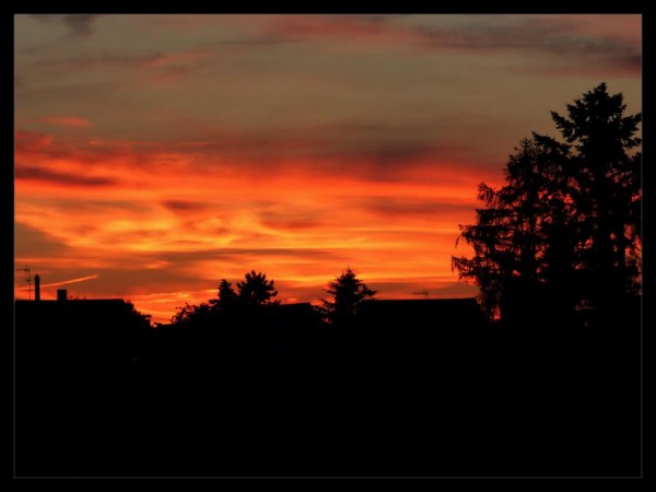 P1020505_Sonne.jpg
