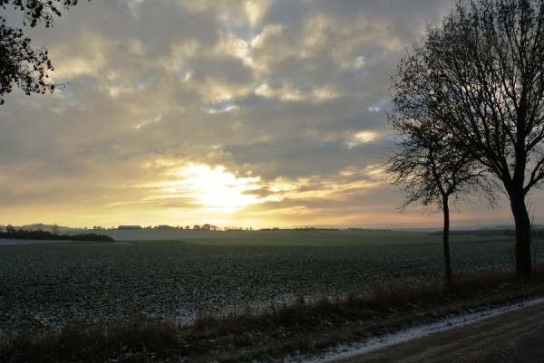 DSC_1536.JPG
