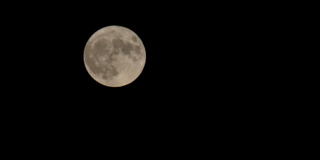 DSC_0180.JPG