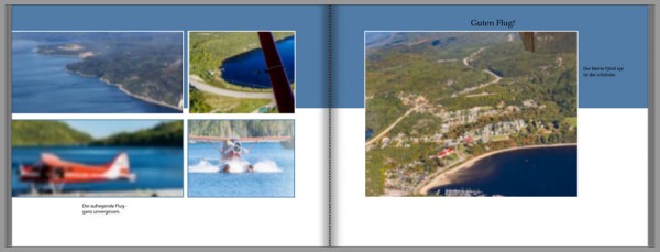 Fjördflug1.jpg