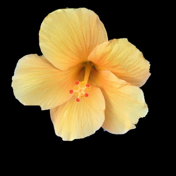 Test.jpg