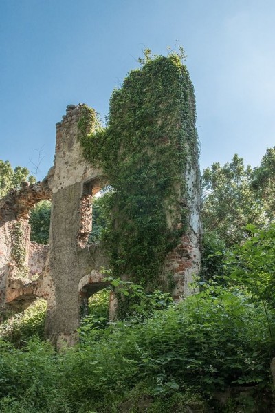 2-pefoto.JPG