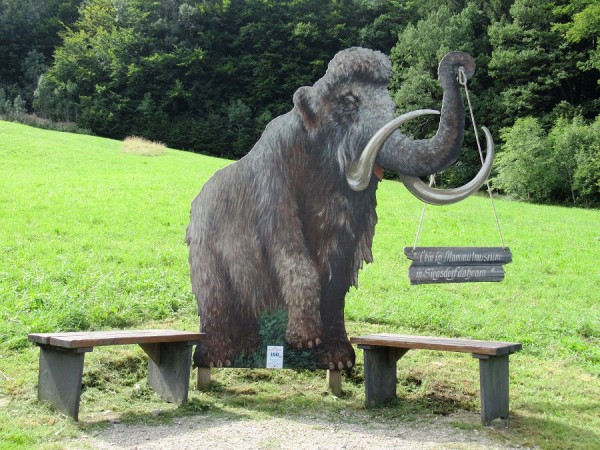 IMG_3143 Mammut.jpg