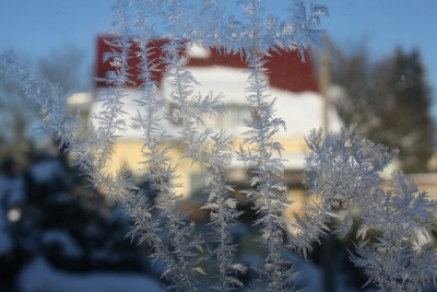 Eisblumen.JPG