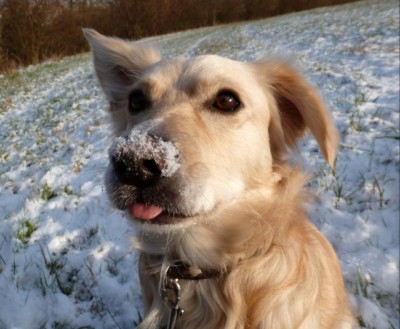 Cewe-Winter3.jpg