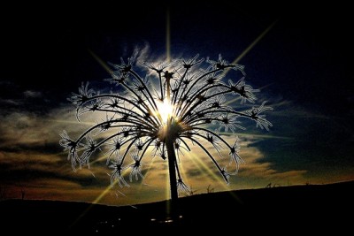 Abendsonne.jpg