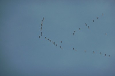 P1080839_kl.JPG