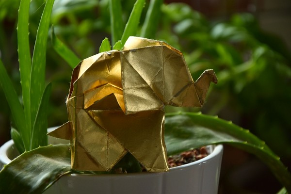 Origami-DSC_5243-3.jpg