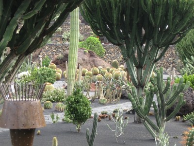 Kaktusgarten.jpg