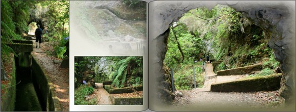 Madeira-1.JPG