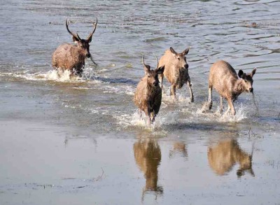 2013-Indien-20022013-077.jpg