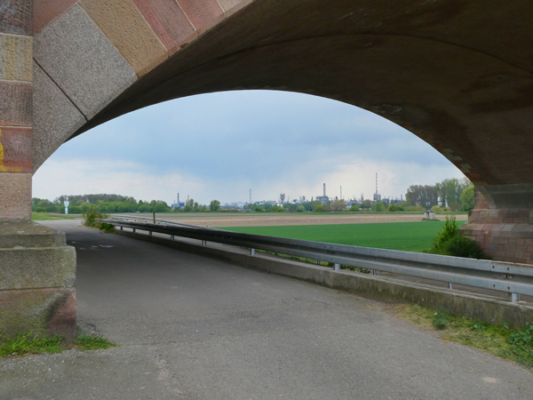 P1130596.jpg