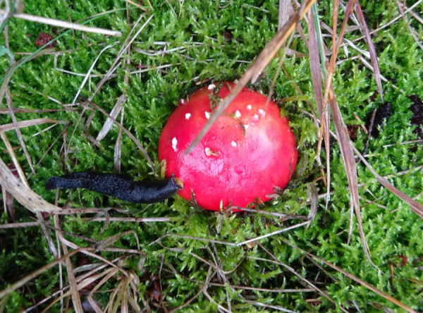 DSC02090.JPG