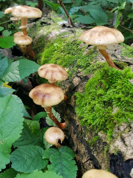 20200927_055122.jpg