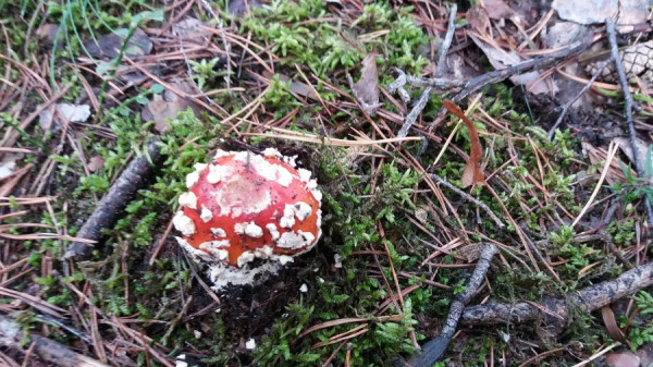 20200927_131024.jpg