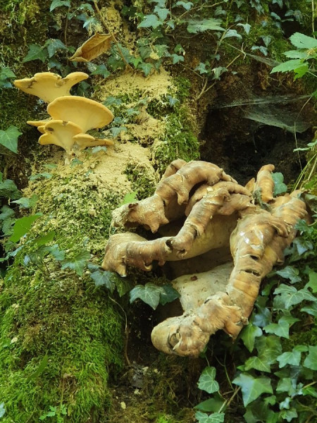 20200915_150142.jpg675x900.jpg