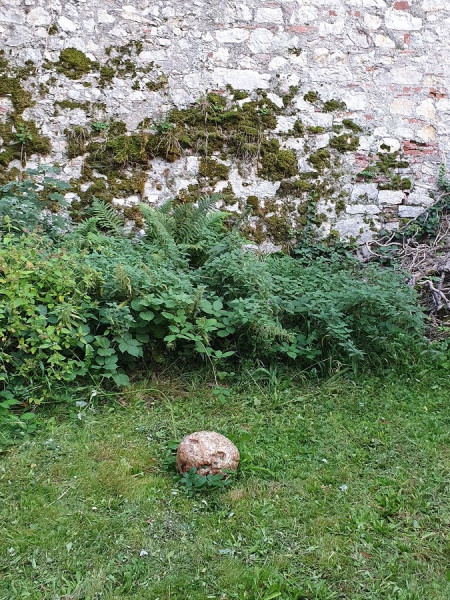 20200915_191141.jpg675x900.jpg