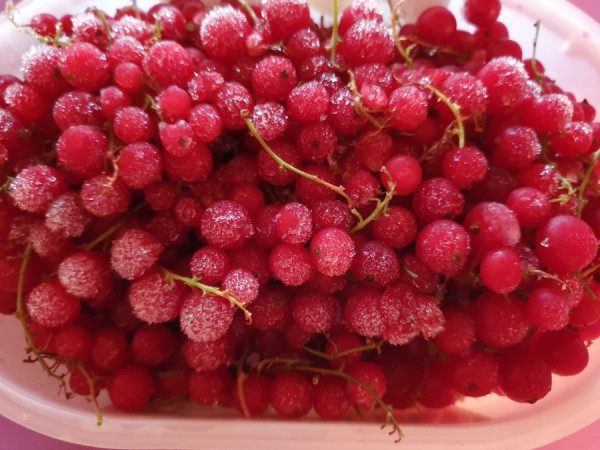 20201202_203948.jpg