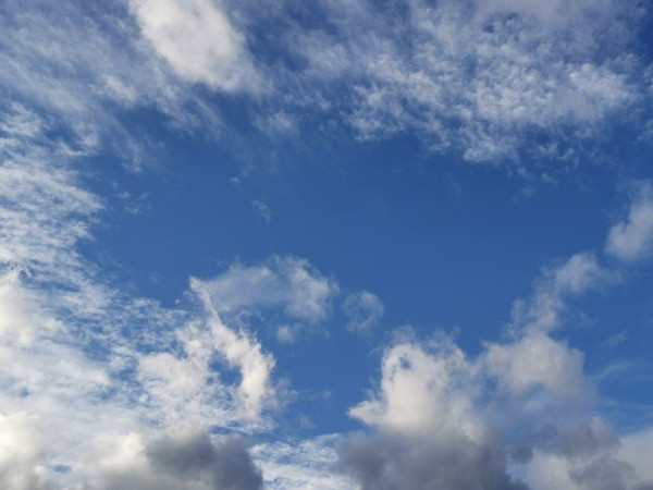 IMG_20201029_153023_resize_99.jpg